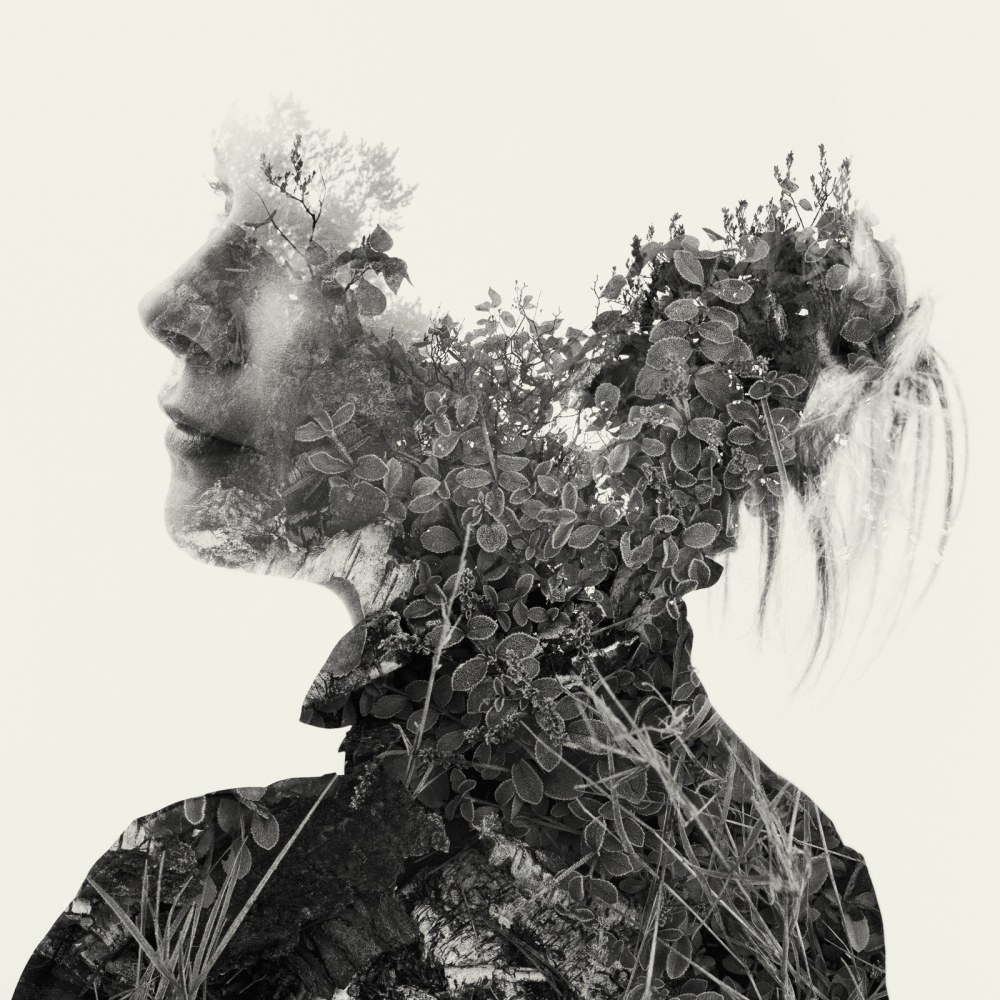 Christoffer Relander, Frost and Fog