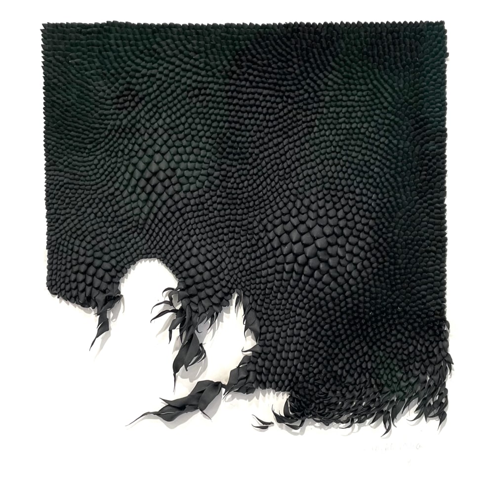 Mylinh Nguyen, Black Roses II