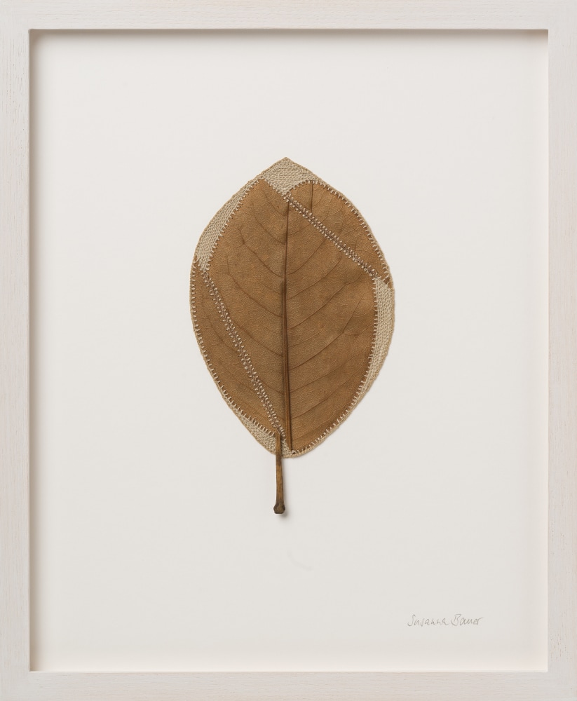 Susanna Bauer, Realignment II