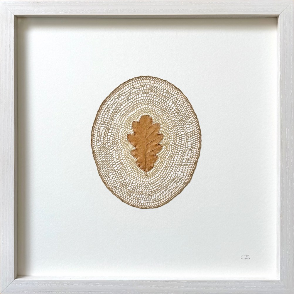 Susanna Bauer, Time (Summer 2025)