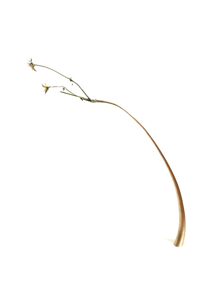 Mylinh Nguyen, Vase 2