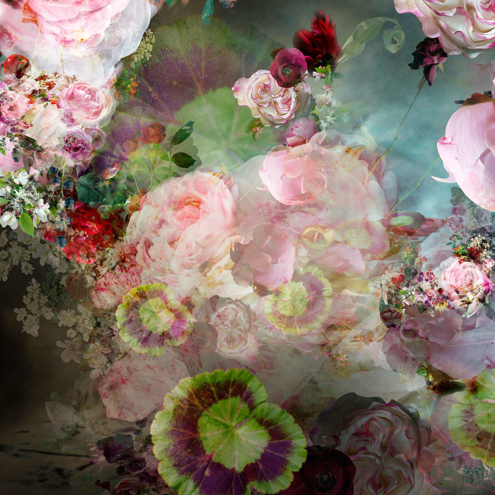 Isabelle Menin, Pink Storm #2