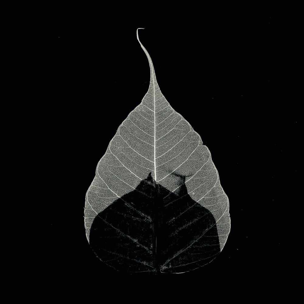 Samantha Bias, Identity