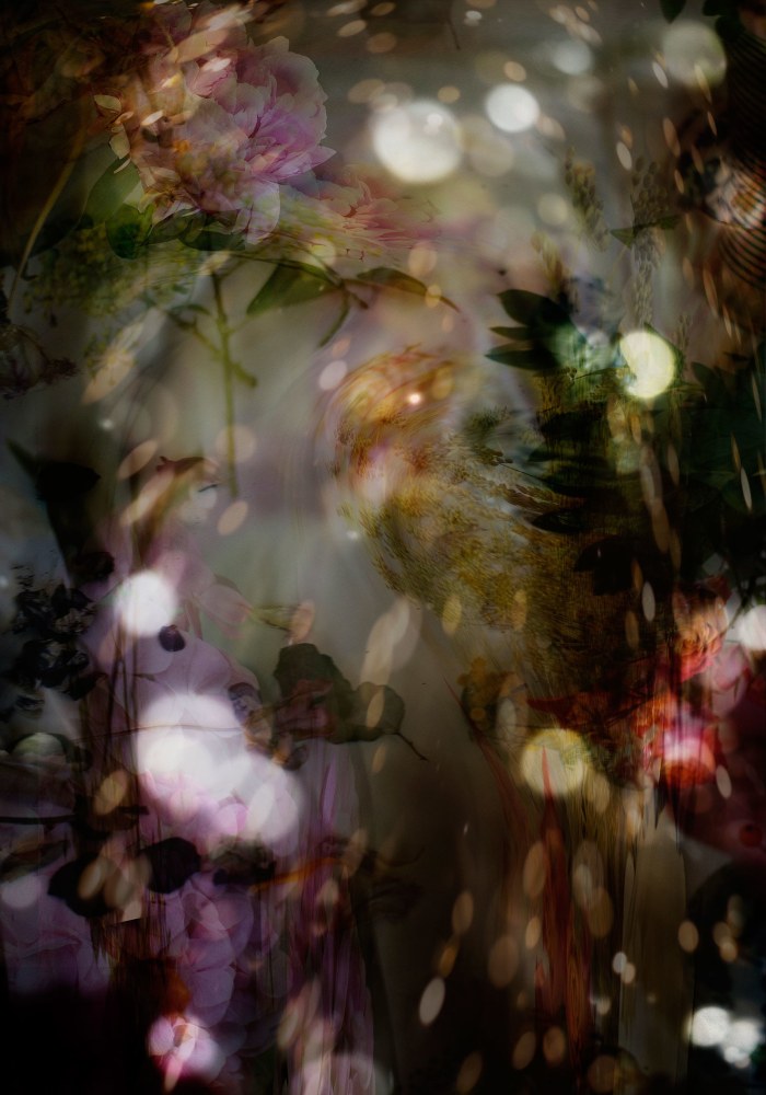 Isabelle Menin, Petites Natures #15