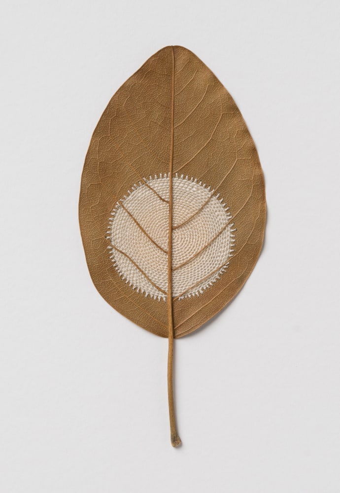 Susanna Bauer, Moon 76