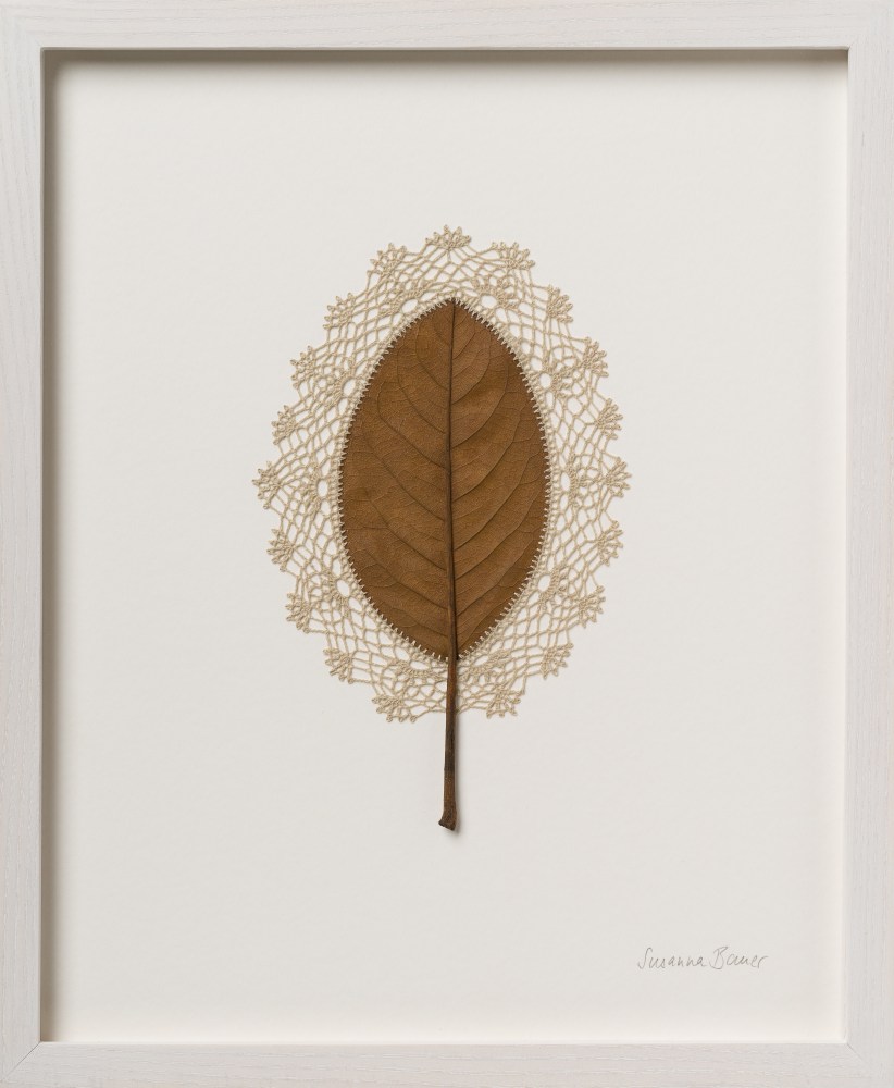 Susanna Bauer, Imagine