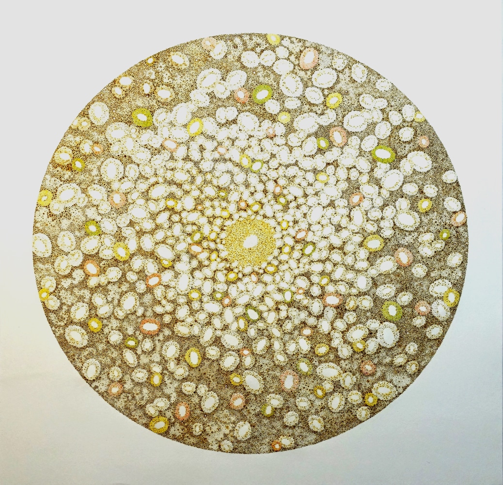 Nathalie Palomino, “CDV #52”