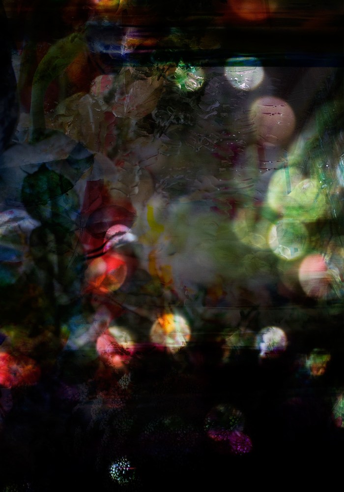 Isabelle Menin, Petites Natures #10