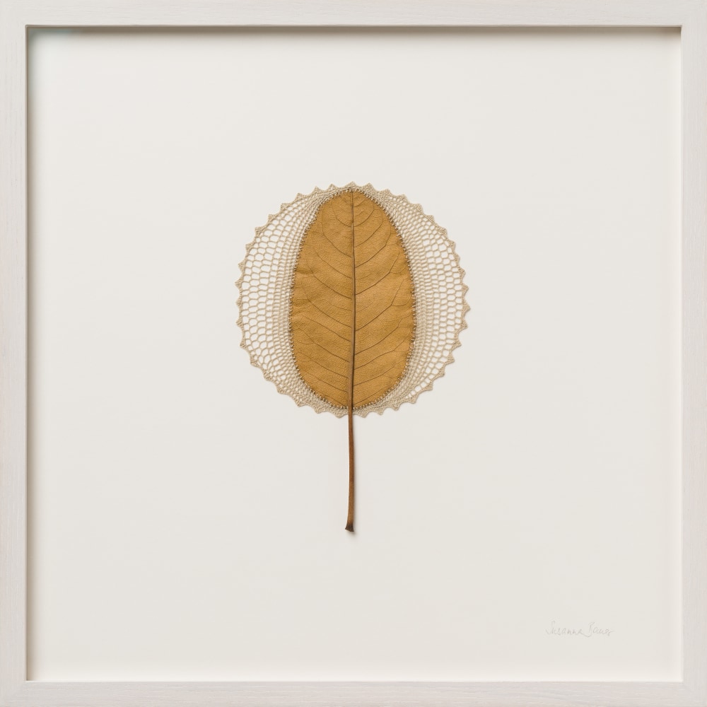 Susanna Bauer, Breathing