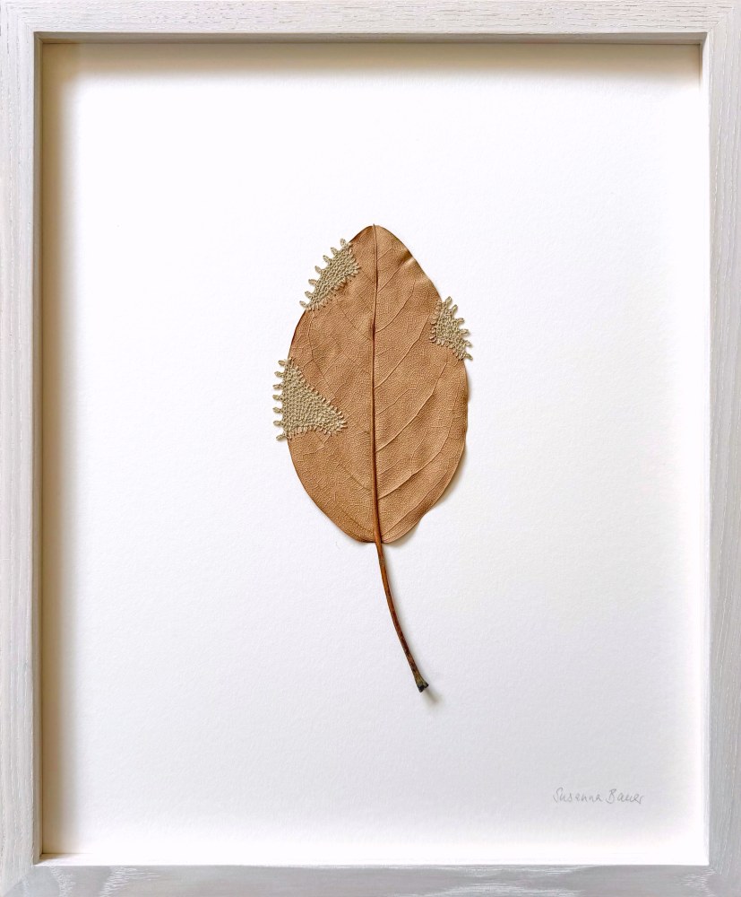 Susanna Bauer, Restoration XIX