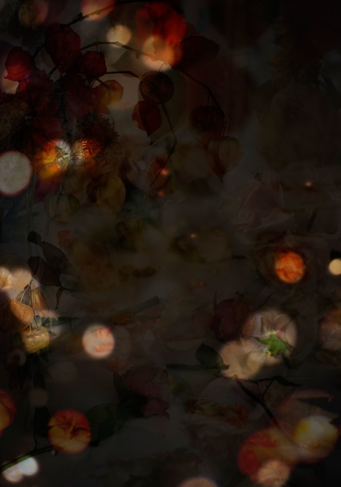 Isabelle Menin, Petites Natures #1