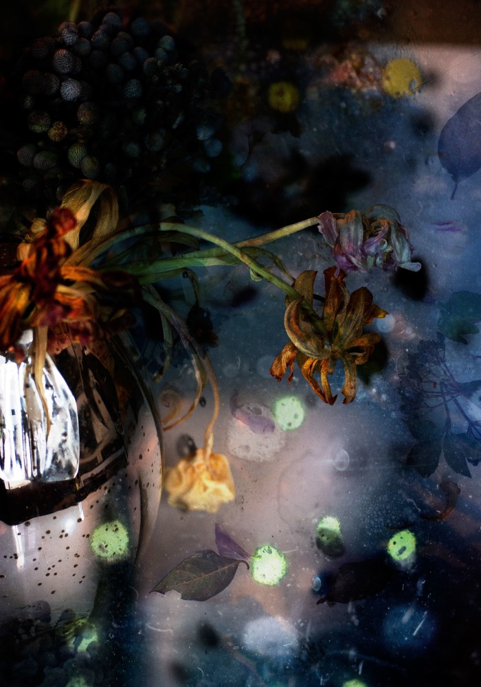 Isabelle Menin, Petites Natures #18