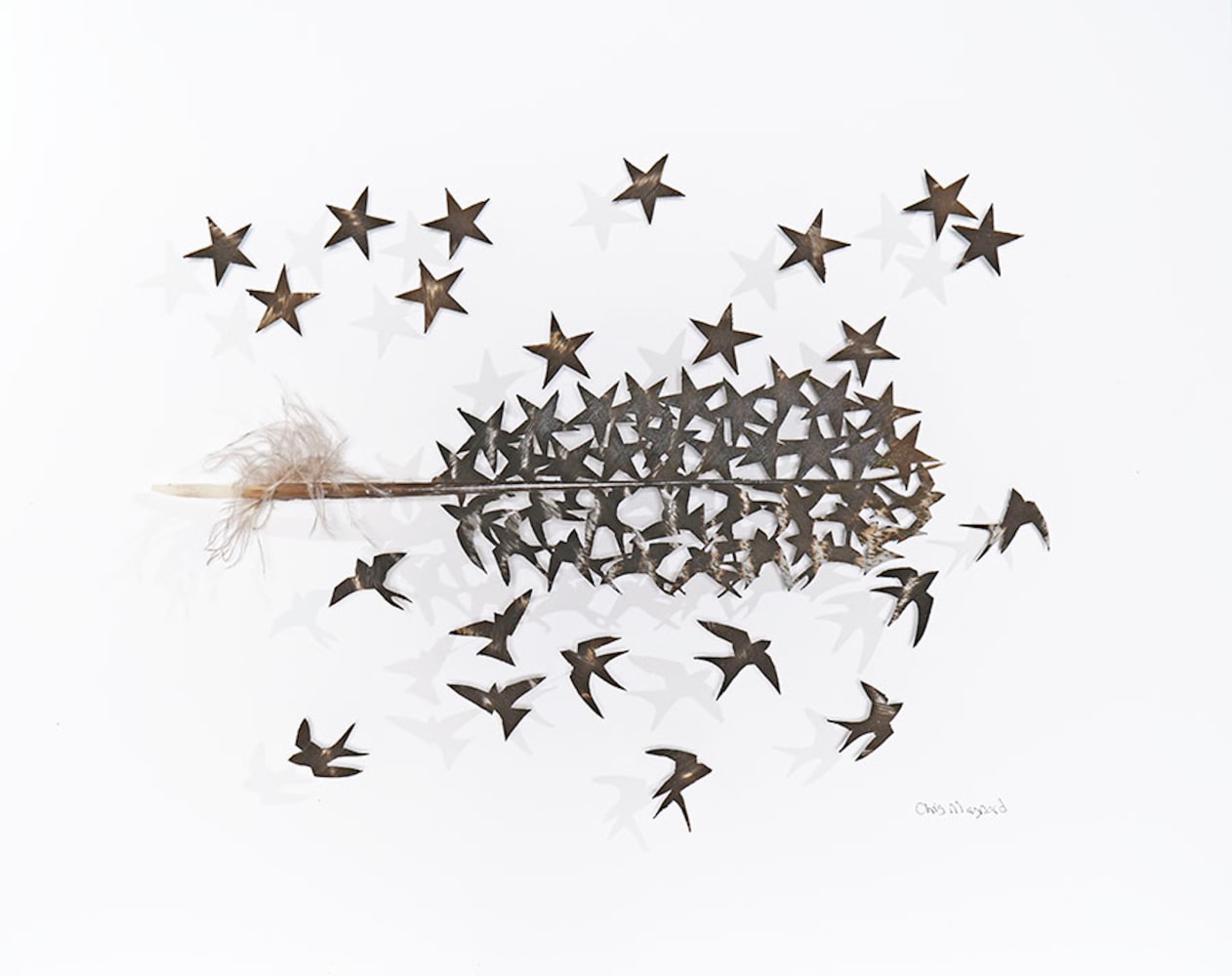 Chris Maynard, Swallows and Stars