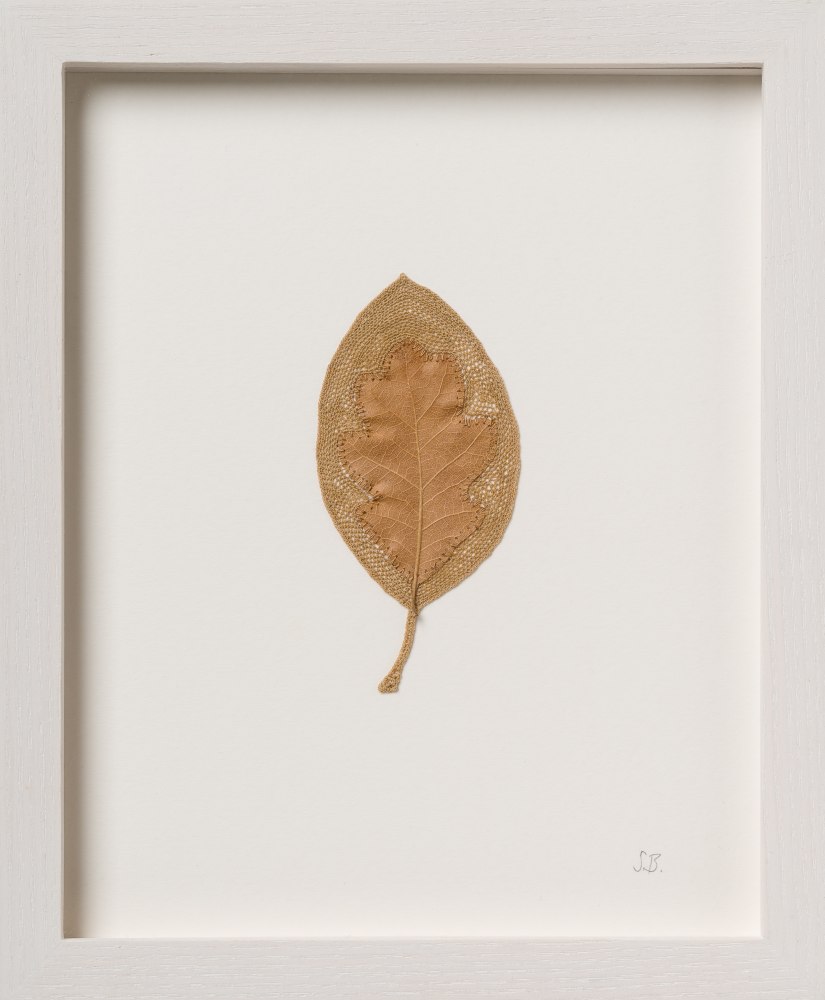 Susanna Bauer, Wishing