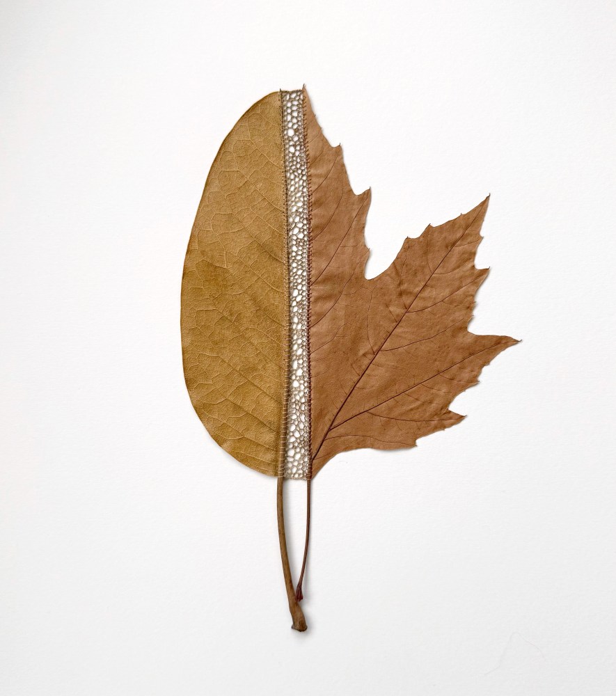 Susanna Bauer, Fusion