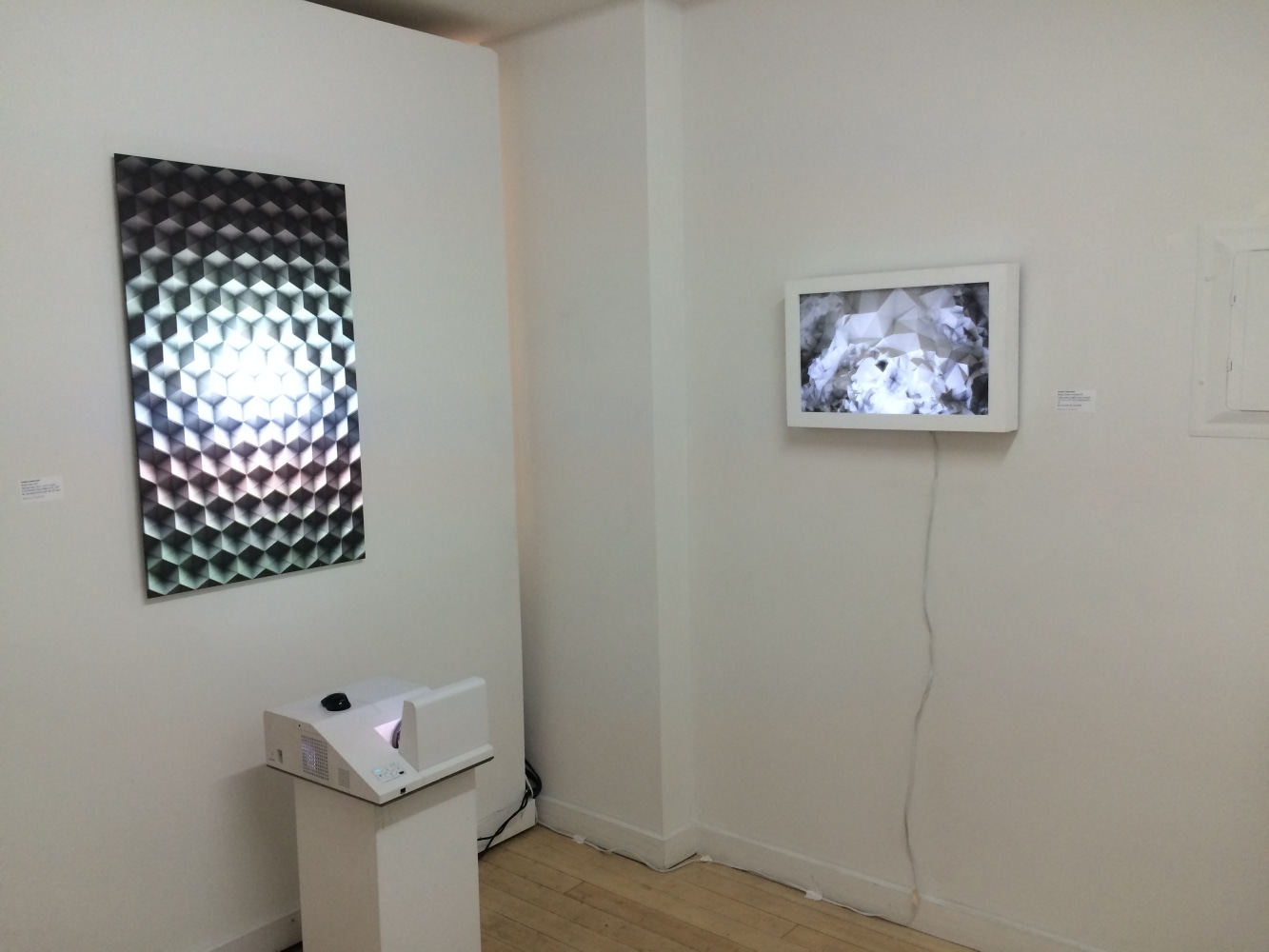 installation View, Joanie Lemercier