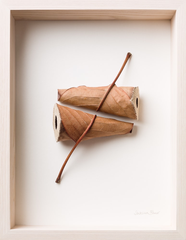 Susanna Bauer, Aligning