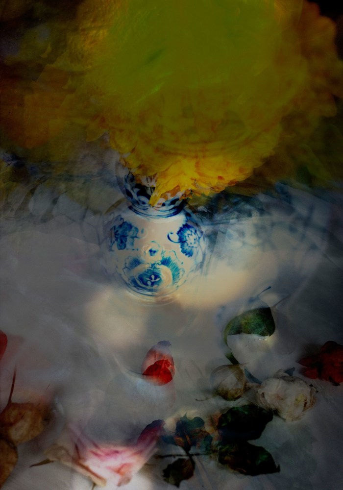 Isabelle Menin, Petites Natures #11