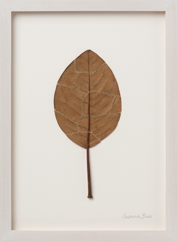 Susanna Bauer, Seams