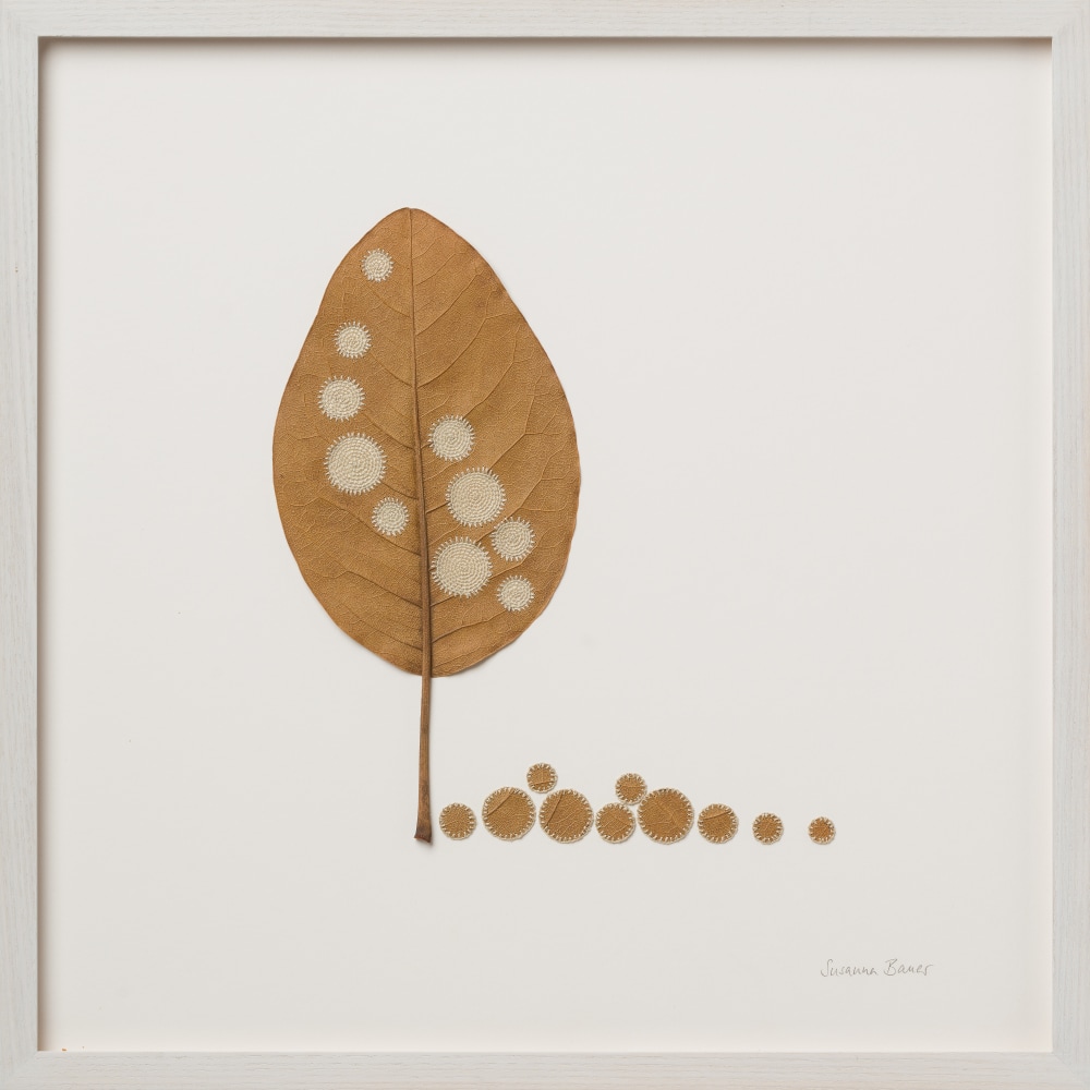 Susanna Bauer, Ten Circles