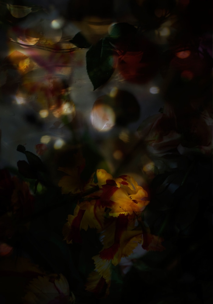 Isabelle Menin, Petites Natures #2