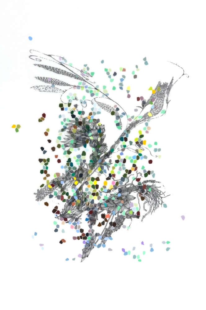 Leigh Anne Lester, Elastic Ramifications