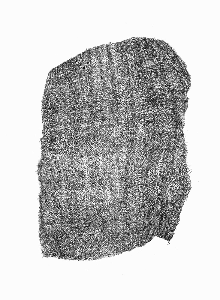 Dana Piazza, Loops.1