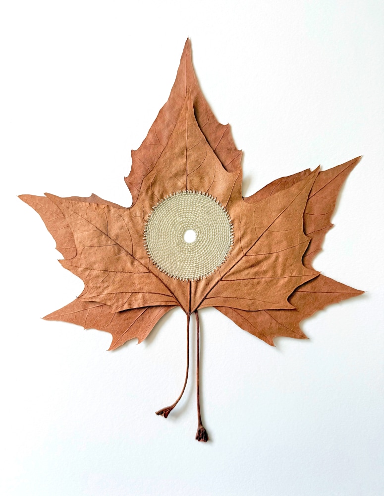 Susanna Bauer, Centered XVIII