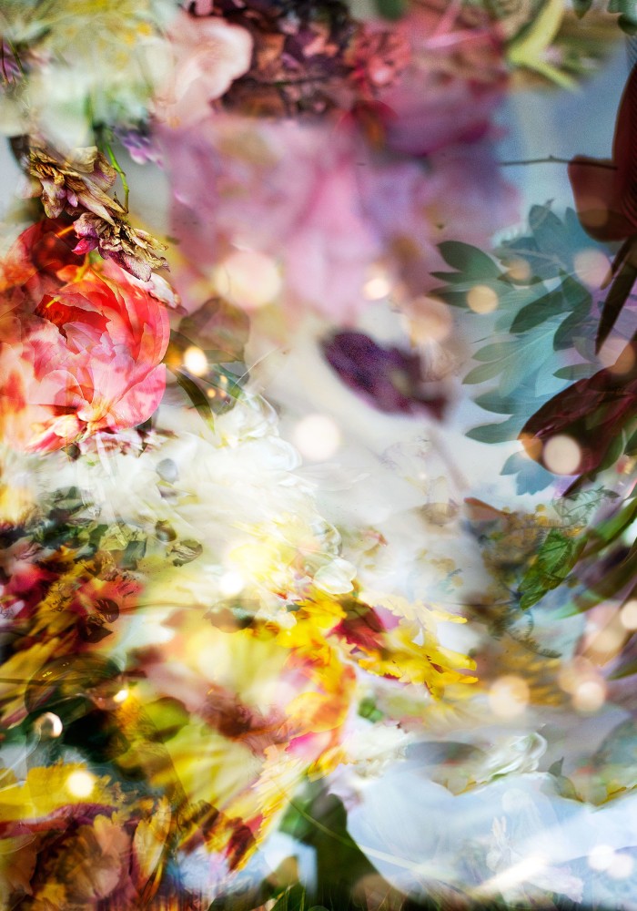 Isabelle Menin, Petites Natures #5