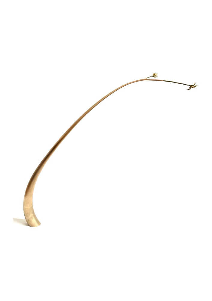 Mylinh Nguyen, Vase 3