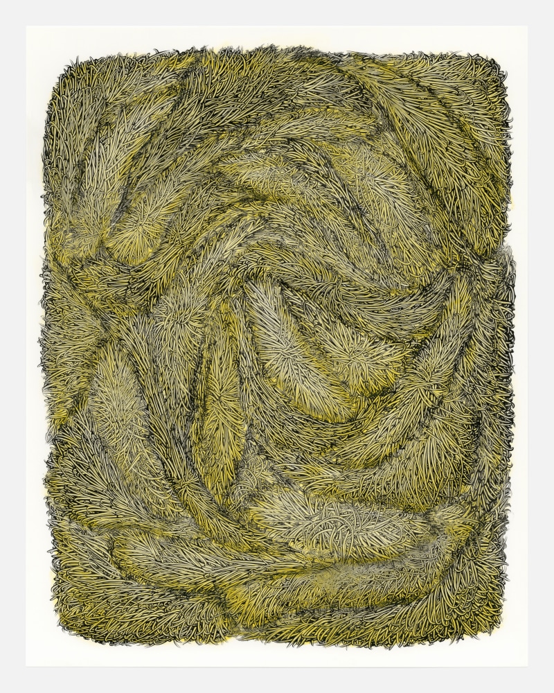 Dana Piazza, Fiber 18