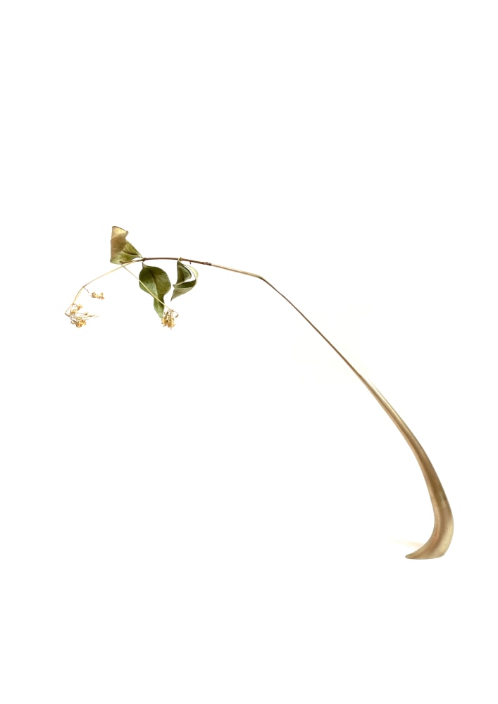 Mylinh Nguyen, Vase 1