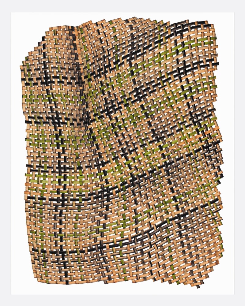 Dana Piazza, Woven Lines 19