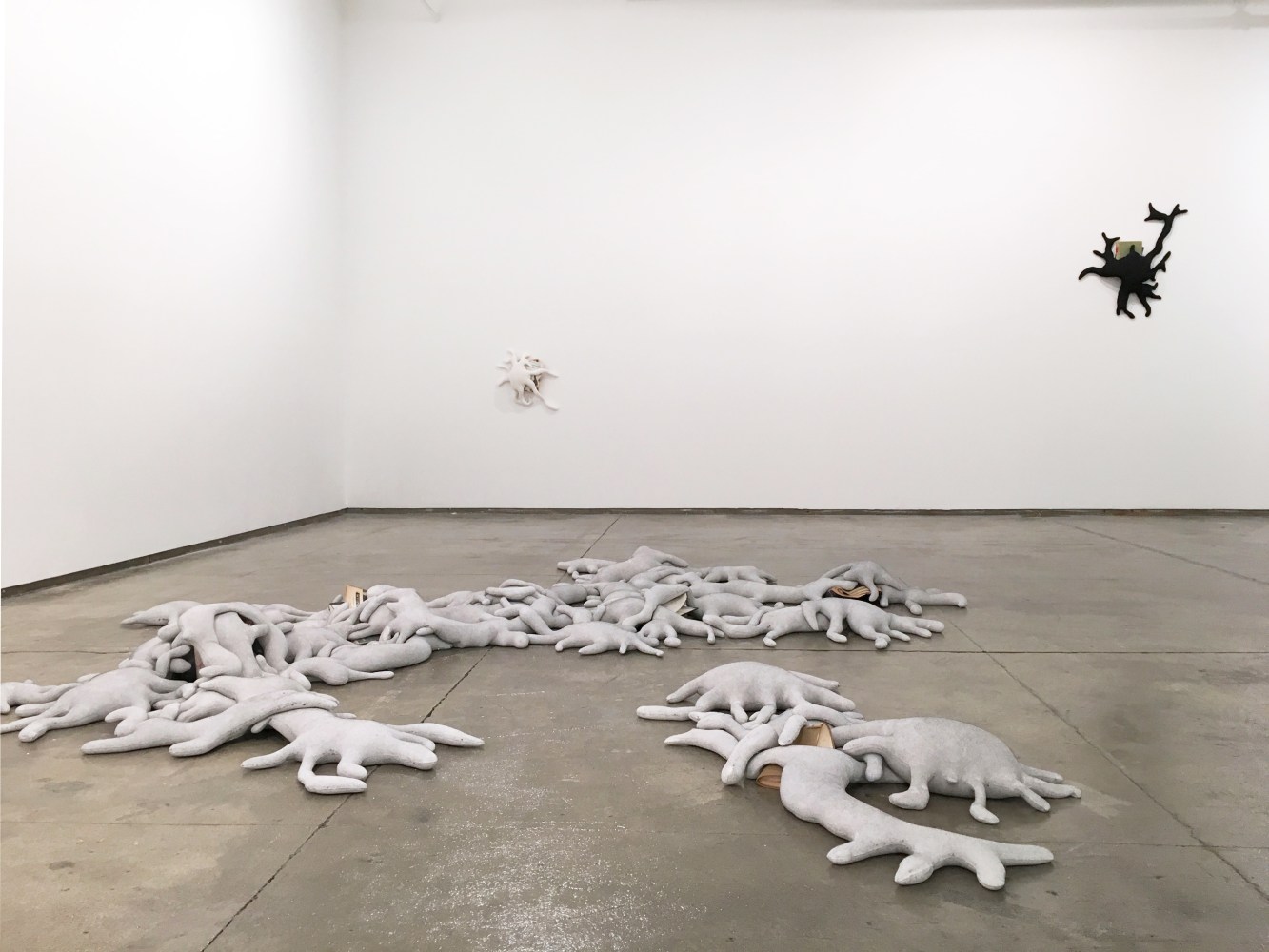 Jonathan Callan, Colony, 2016, installation view