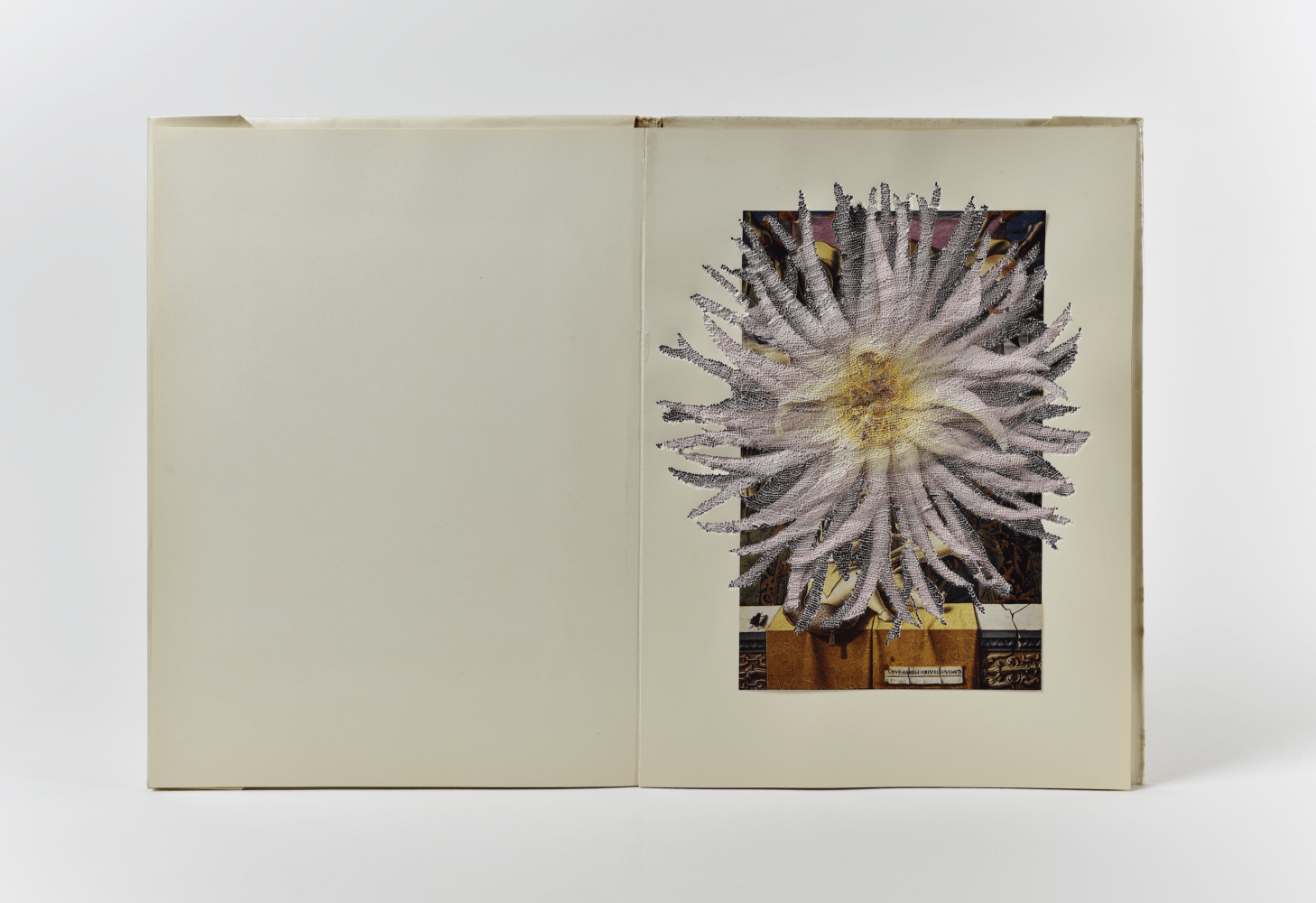Jonathan Callan, A flower in Italian painting (Crivelli), 2020. Paper. 21.65h x 14.17w x 1.57d in.