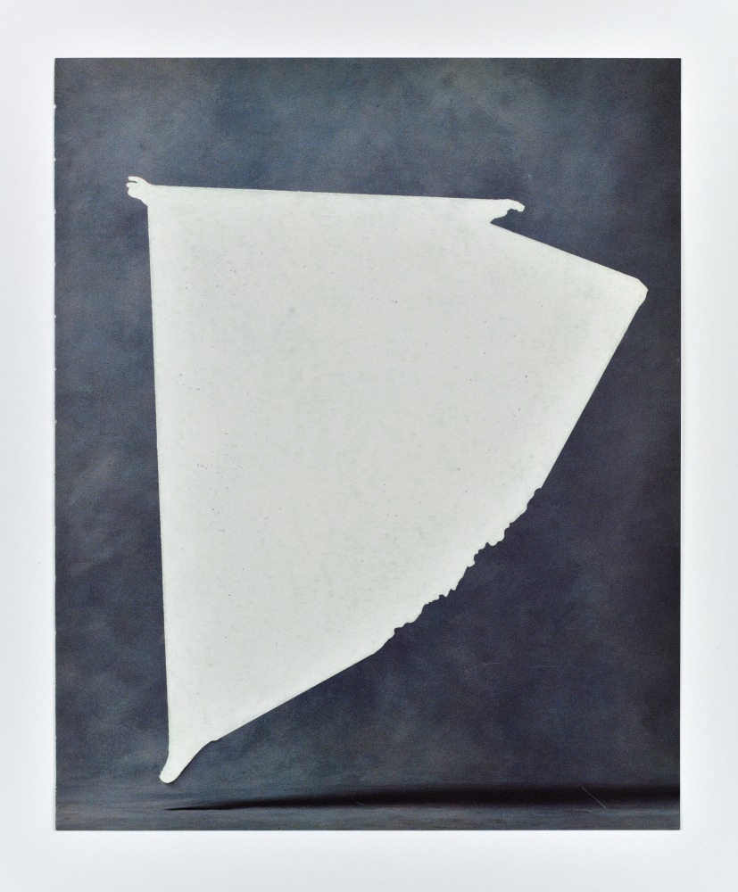 Jonathan Callan, Harp, 2020. Paper. 11.02h x 9.06w in.