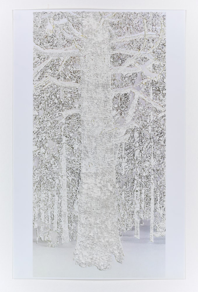 Jonathan Callan, Colouring out Again, 2018. Paper. 16.34h x 8.46w in.