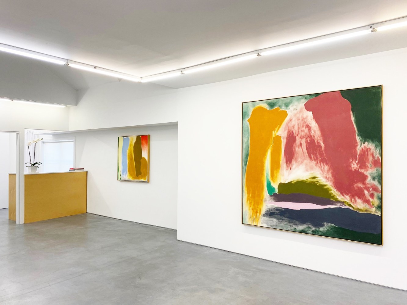 FRIEDEL DZUBAS | The Lipman Family Collection