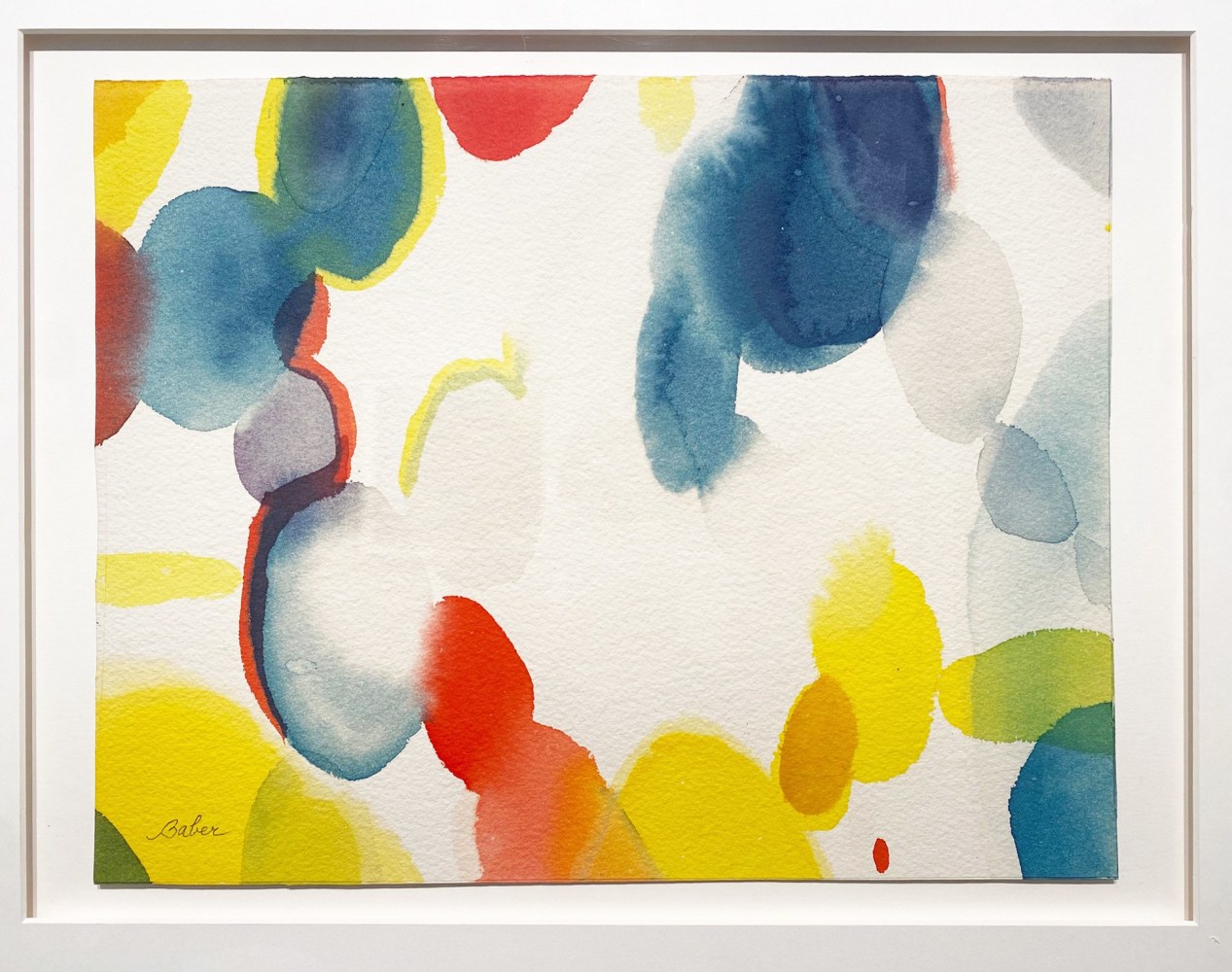 ALICE BABER | In Collaboration with Jody Klotz