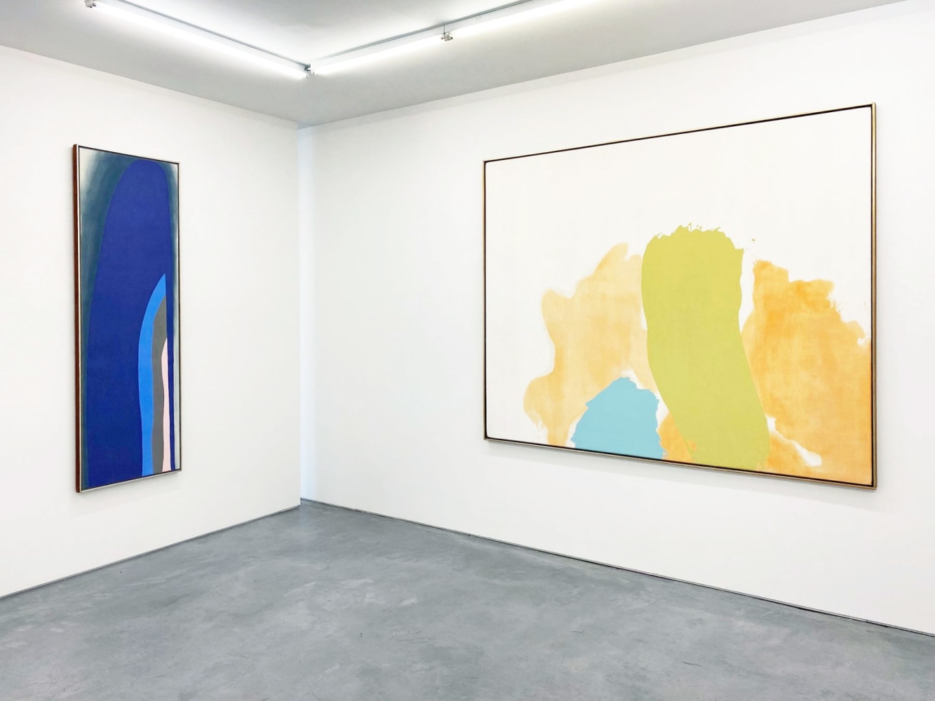 FRIEDEL DZUBAS | The Lipman Family Collection