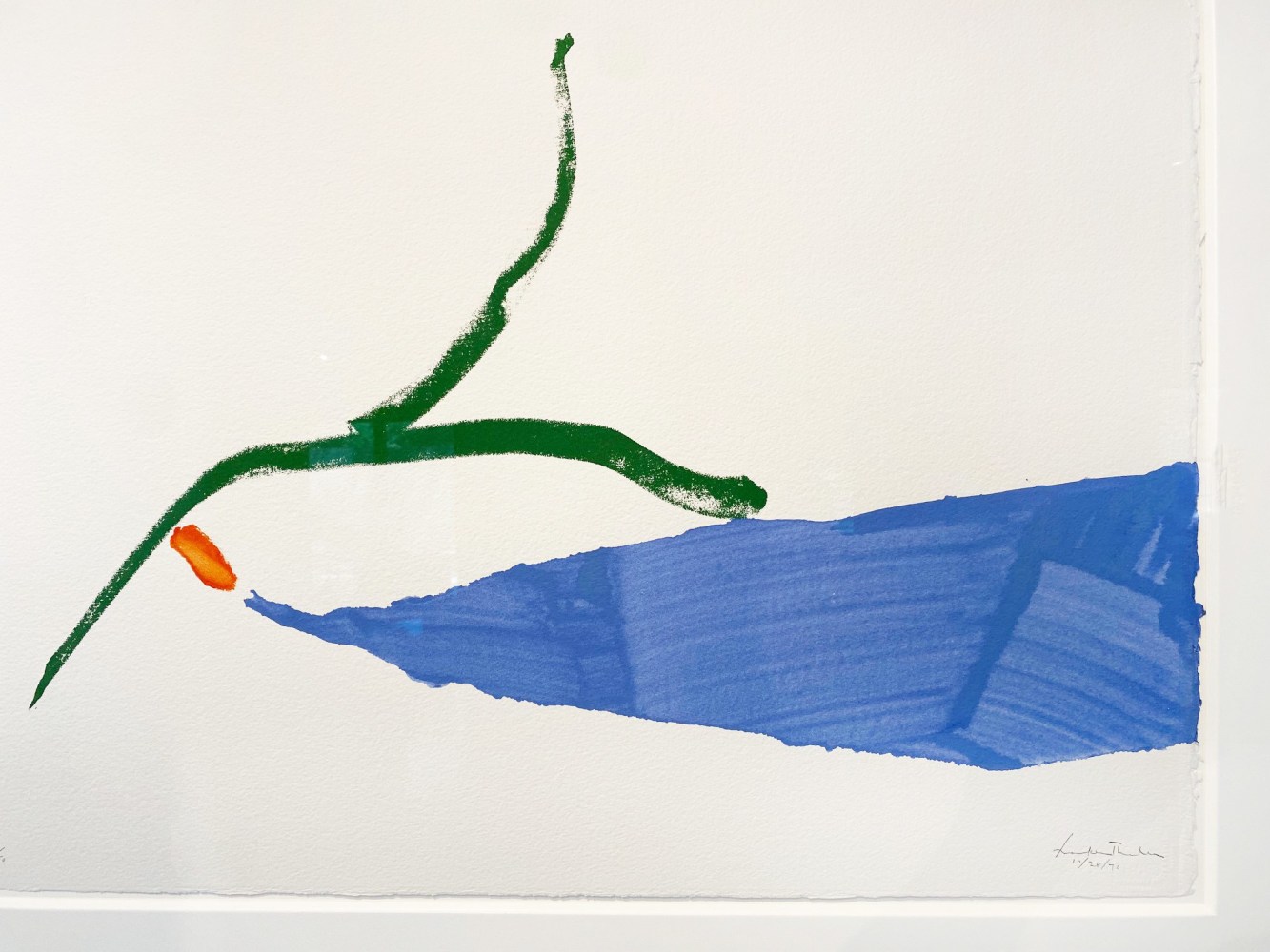 HAMPTONS | Beauty of Color