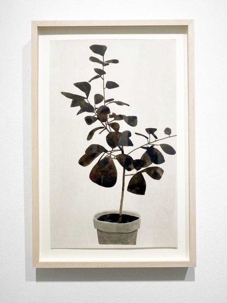 Jonas Wood, Untitled, 2009