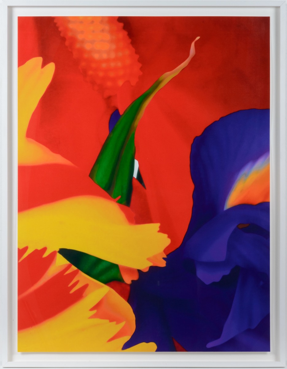 Marc Quinn, Portraits of Landscapes 1, Pigment Print