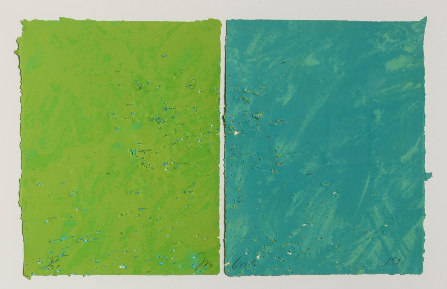 Joe goode, Shotgun Lithograph #314, 1981