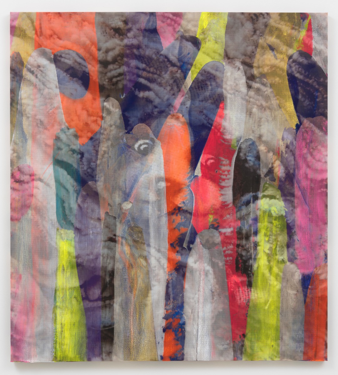 Evan Nesbit Replete Anxieties, 2017 Acrylic, UV ink and Flash on vinyl fabric 66 x 60 in (167.6 x 152.4 cm)