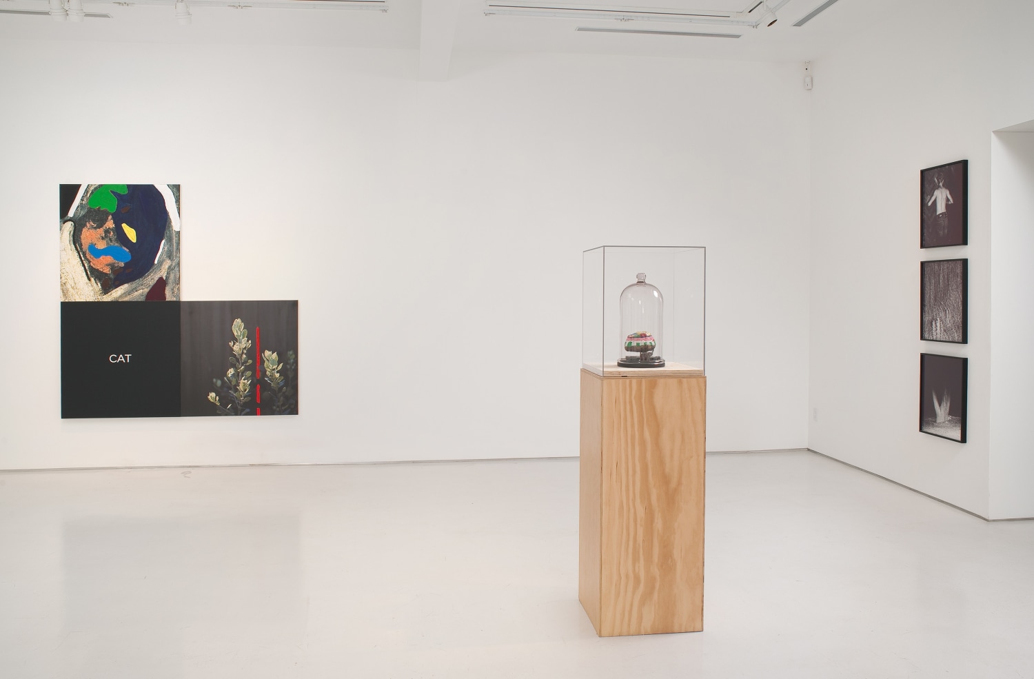 Harsh Terrain Installation View