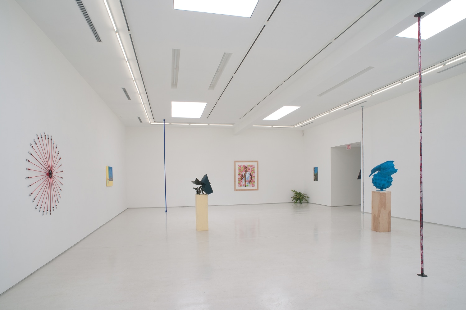 Wild Thing Installation View