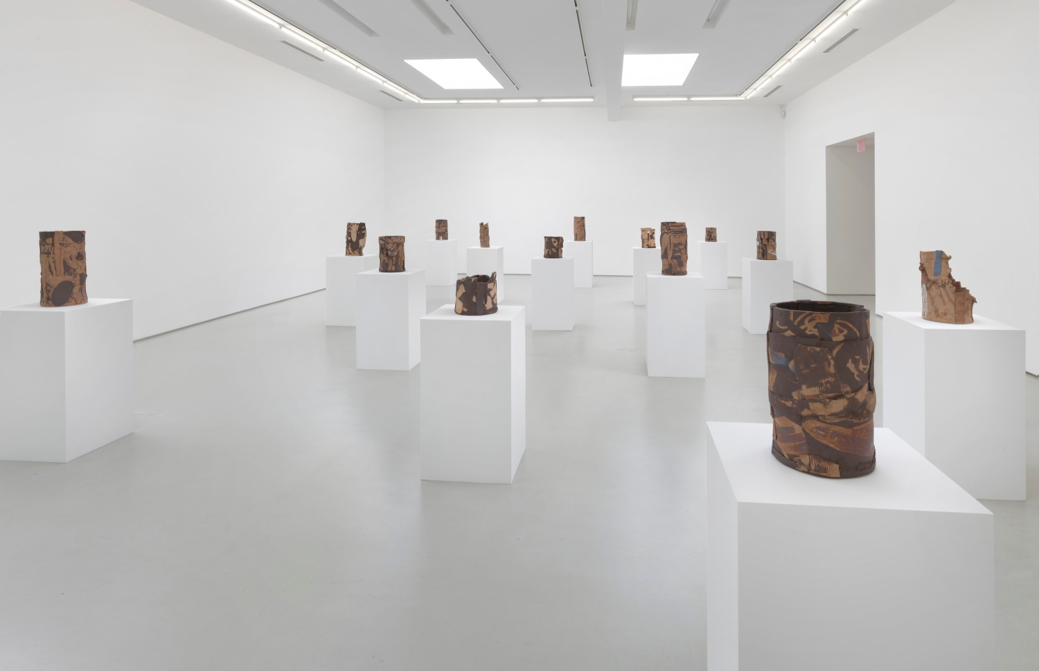 Michael Dopp Shining Desert