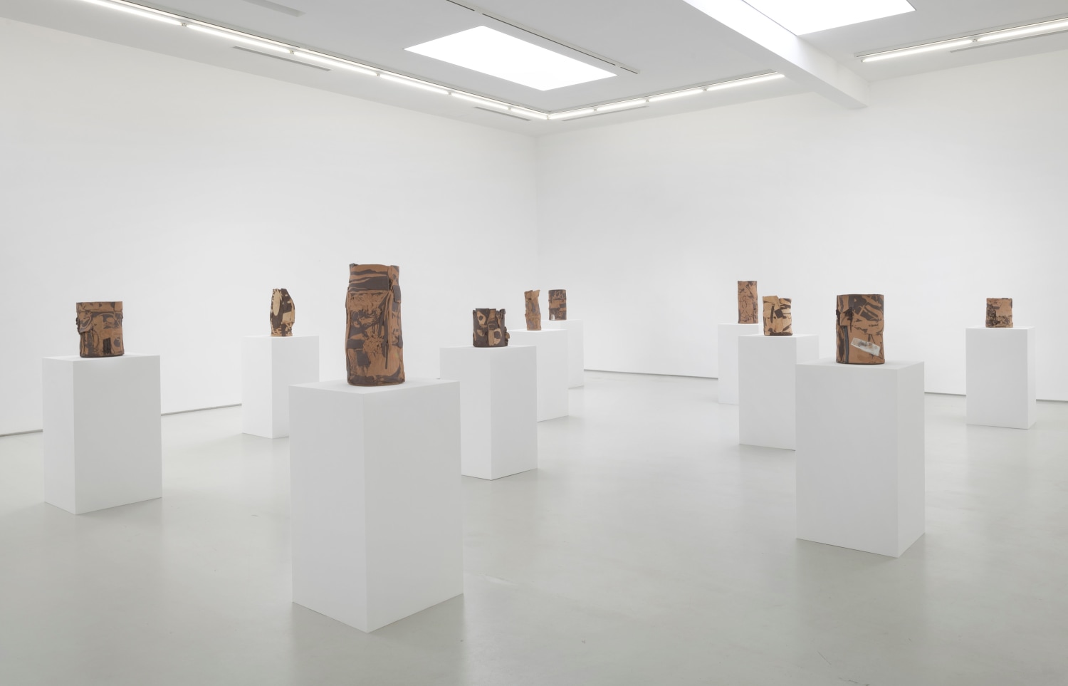 Michael Dopp Shining Desert