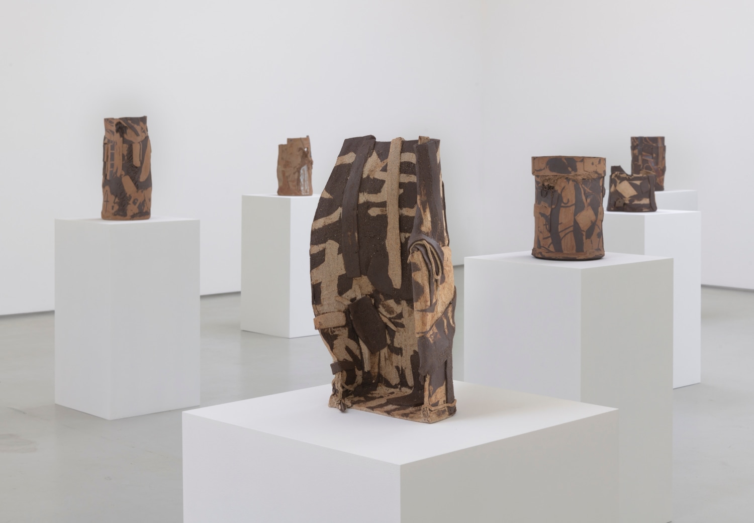 Michael Dopp Shining Desert